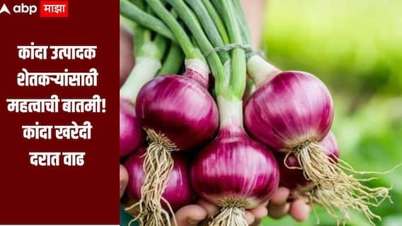 कांदा उत्पादक शेतकऱ्यांसाठी महत्वाची बातमी, खरेदी दरात सरकारनं केली वाढ  