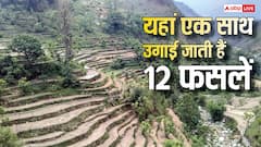 एक खेत में 12 फसलें, फिर भी कम खर्च! क्या है पहाड़ों की बारहनाजा खेती?