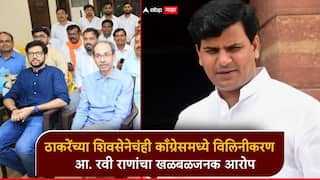 उद्धव ठाकरेंच्या शिवसेनेचंही काँग्रेसमध्ये विलिनीकरण होणार; रवी राणांचा खळबळजनक आरोप, राष्ट्रवादीवरही बोलले
