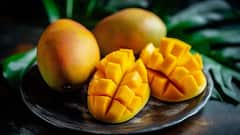 Most Mango Producing State: भारत में कहां पैदा होता है सबसे ज्यादा आम, जानें पूरे साल में कितने टन होती है पैदावार?