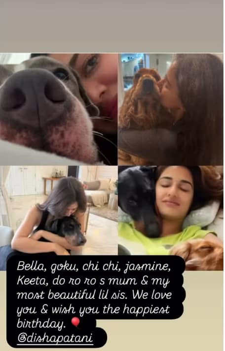 Disha Patani Birthday: Mouni Roy showered love on birthday girl Disha Patani, wrote a special message for her special friend.