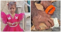 ఏడో రోజూ లభ్యంకాని చిన్నారి జ్ఞానేశ్వరి ఆచూకీ! పెంపుడు కుక్కకు జీపీఎస్ ట్రాకర్ అమర్చి సెర్చ్ ఆపరేషన్! 