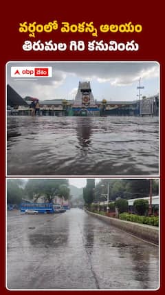 తిరుమలలో వర్షం..