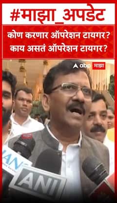 Sanjay Raut On Operation Tiger : ऑपरेशन टायगरच्या चर्चांवरुन संजय राऊतांची टीका
