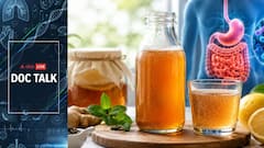 ABP LIVE Doc Talk | Kombucha For Digestion: Benefits, Risks And What Experts Want You To Know