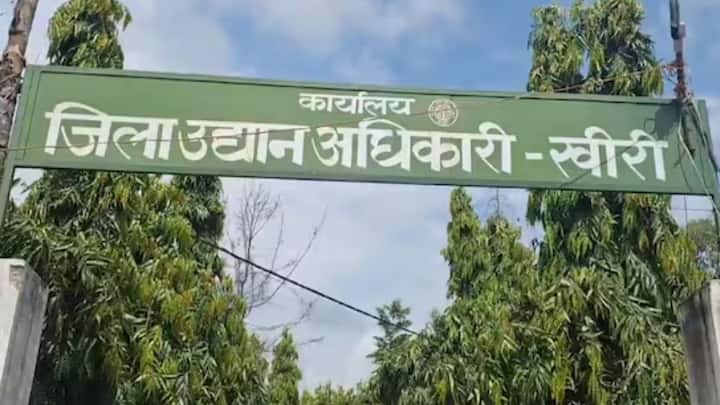 इस मुनाफे वाले बिजनेस को शुरू करने के लिए आप अपने नजदीकी कृषि विज्ञान केंद्र या जिला उद्यान विभाग में जाकर पूरी जानकारी ले सकते हैं. वहां आपको मधुमक्खियों के रख-रखाव की प्रॉपर ट्रेनिंग भी दी जाएगी जिससे आप बिना किसी गलती के इस काम से डबल कमाई कर सकें.