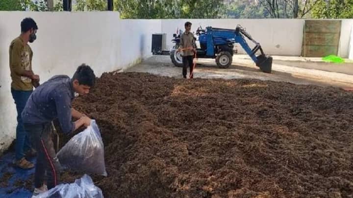 इस ढेर को ऐसे ही नहीं छोड़ना है बल्कि इसमें समय-समय पर पलटी मारना यानी इसे ऊपर-नीचे करना सबसे जरूरी प्रोसेस है. पहली पलटी के दौरान इसमें जिप्सम मिलाया जाता है. जो कंपोस्ट के टेक्सचर को बेहतर बनाता है. अमूमन 25 से 28 दिनों के भीतर इस ढेर की 7 से 8 बार पलटी की जाती है.