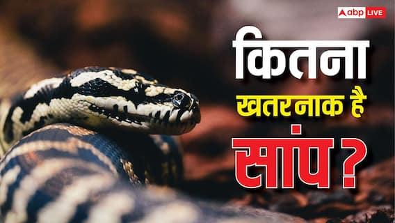 Snakes Skin: सांप क्यों उतारता है अपनी केंचुली, क्या इसके बाद और भी ज्यादा खतरनाक हो जाता है स्नेक? Snakes Skin: सांप क्यों उतारता है अपनी केंचुली, क्या इसके बाद और भी ज्यादा खतरनाक हो जाता है स्नेक?
