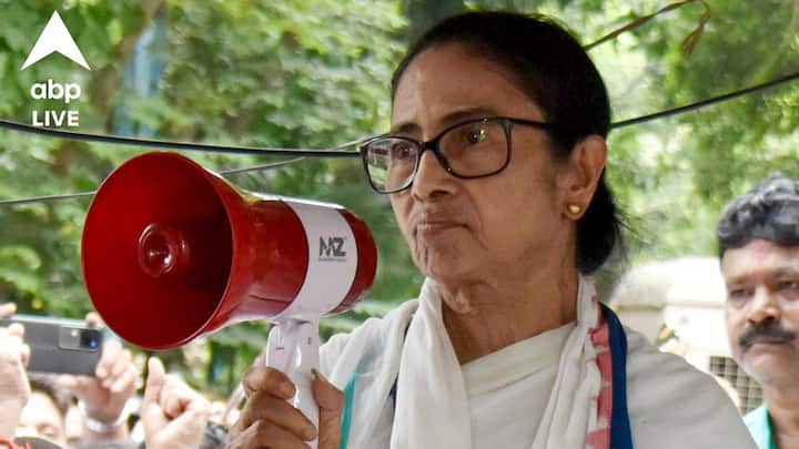 বৈঠকে সংগঠনের কয়েকটি বিষয়ে অতি দ্রুত পদক্ষেপের দাবি জানান কুণাল ঘোষ। দাবিগুলি সেই মুহূর্তে মানতে রাজি হননি অভিষেক। তিনি বলেন, এ বিষয়ে পরে আলোচনা হবে। তৃণমূল সূত্রে খবর, তখন কুণাল ঘোষ অভিষেক বন্দ্যোপাধ্যায়কে বলেন, লেবু কচলে তেতো করবে না। এরপর অভিষেক বন্দ্যোপাধ্যায় কুণাল ঘোষকে বলেন, সুমিত রায় সম্পর্কে আপনি সংবাদ মাধ্যমে বিরূপ বিবৃতি দিয়েছেন। কুণাল ঘোষ বলেন, একশো শতাংশ বলেছি। কারণ, সুমিত রায় দলের কেউ নন এবং তাকে কোনভাবেই আমি দলের তরফে বিবৃতি দিয়ে ডিফেন্ড করতে পারব না।
