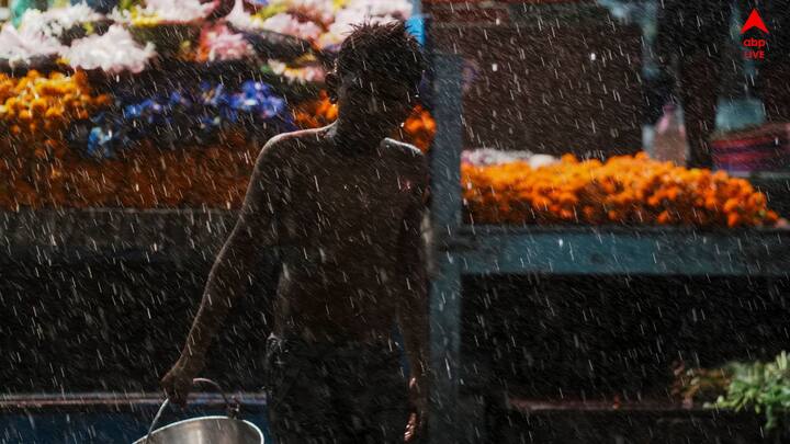 একই সঙ্গে উত্তরবঙ্গ পেরিয়ে বিহারের কিছু অংশ ঢুকে পড়েছে মৌসুমী বায়ু। মালদা ছাড়া উত্তরবঙ্গের সব জেলাতেই বর্ষার বাতাস। রাজ্যে বর্ষার অনুকূল পরিস্থিতি।