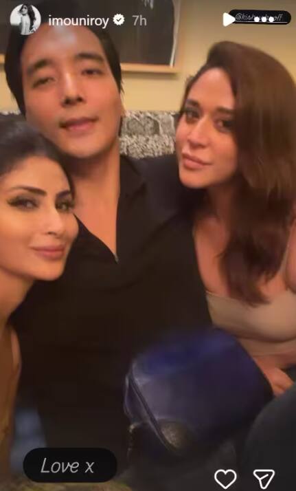 Disha Patani Birthday Inside Pics: From Mouni Roy to Krishna Shroff, these celebs made a splash at Disha Patani's birthday party, see photos