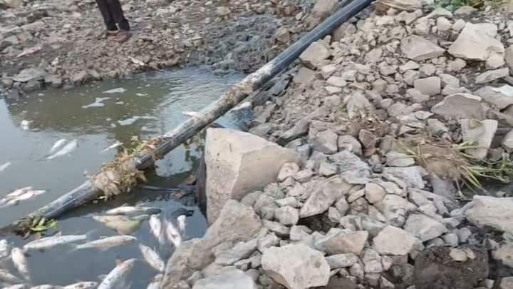 रसायनमिश्रित आणि मैलापाणी सोडून ही नदी विषारी केली जातीये.