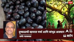 BLOG: दुष्काळाची व्हायरल चर्चा आणि जांभूळ आख्यान, महाभारताच्या काळातलं फळ