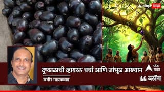BLOG: दुष्काळाची व्हायरल चर्चा आणि जांभूळ आख्यान, महाभारताच्या काळातलं फळ