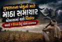 ગુજરાતના ખેડૂતો માટે માઠા સમાચાર: ચોમાસામાં થશે વિલંબ, જાણો 7 દિવસ કેવું રહેશે હવામાન
