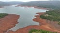 Koyna Dam: कोयना धरणात अवघा 9 टीएमसी पाणीसाठा; जलसमाधी घेतलेली ऐतिहासिक मंदिरं अन् गावं आली उघड्यावर, पाण्याच्या भीषणतेची ड्रोन PHOTO