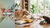 Pet First | 5 Indoor Activities To Help Your Overweight Pet Lose Weight This Summer