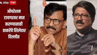 शिंदेंच्या 'ऑपरेशन टायगर'वर मात करण्यासाठी ठाकरेंचे शिलेदार सरसावले; अरविंद सावंत, संजय राऊत आणि अनिल देसाई दिल्लीत