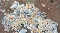 Tukaram Mundhe FDA: भेसळखोरांमध्ये तुकाराम मुंढेंची दहशत, एफडीएच्या कारवाईच्या भीतीने सगळ्या पेप्सी रस्त्यावर फेकून दिल्या