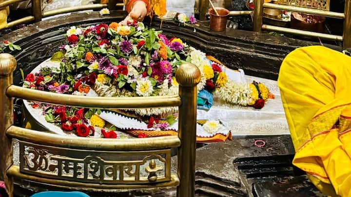 नोंदणीकृत भाविकांची यादी माहितीसाठी संकेतस्थळावर सर्वांसाठी उपलब्ध राहील.