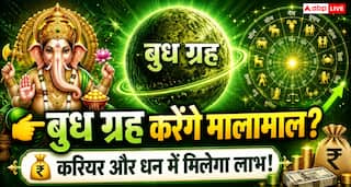 Astrology: करियर और व्यापार में सफलता चाहते हैं? बुधवार को करें ये आसान उपाय