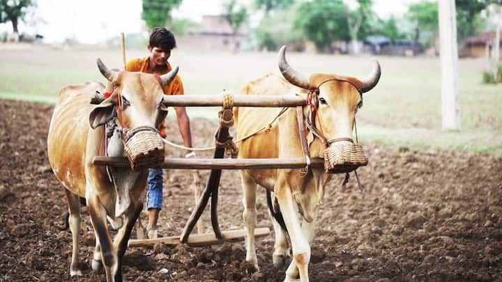 शेतकऱ्यांच्या भावना समजून घ्या, अन्यथा हे आंदोलन आणखी तीव्र होईल, यापुढे नेतेमंडळी व अधिकाऱ्यांच्या गाड्या पेटवायला मागे पुढे पाहणार नाहीत, असा इशाराही आंदोलकांनी दिला