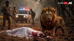 Lion Kills 25-Year-Old Man In Gujarat's Amreli, Forest Officials Launch Search For Pride