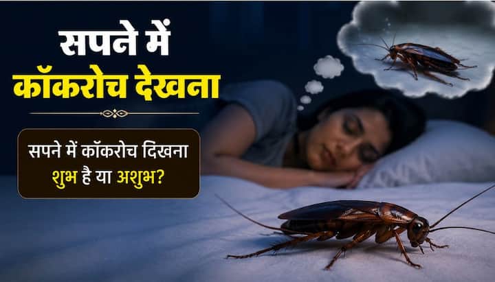 अगर सपने में कॉकरोच उड़ता हुआ दिखाई दे तो इसे अचानक आने वाली चुनौतियों का संकेत माना जाता है. ऐसे में अपने काम को लेकर सतर्क हो जाएं और किसी से अपनी योजना शेयर न करें.