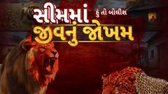 Hun To Bolish : હું તો બોલીશ : સીમમાં જીવનું જોખમ