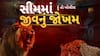 Hun To Bolish :  હું તો બોલીશ : સીમમાં જીવનું જોખમ
