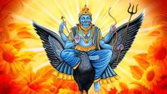 Shani Vakri 2026: जून संपताच सुखाला ब्रेक, 5 राशी अलर्ट मोडवर! शनिची वक्री चाल, अचानक टेन्शन, पैसा, नोकरी, प्रेम....