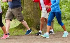 Daily Walking Distance : ਰੋਜ਼ਾਨਾ ਕਿੰਨੇ ਕਿਲੋਮੀਟਰ ਤੁਰਨਾ ਸਹੀ ਹੈ? ਜ਼ਿਆਦਾ ਤੁਰਨ ਨਾਲ ਕੀ ਹੋ ਸਕਦੇ ਹਨ ਨੁਕਸਾਨ?