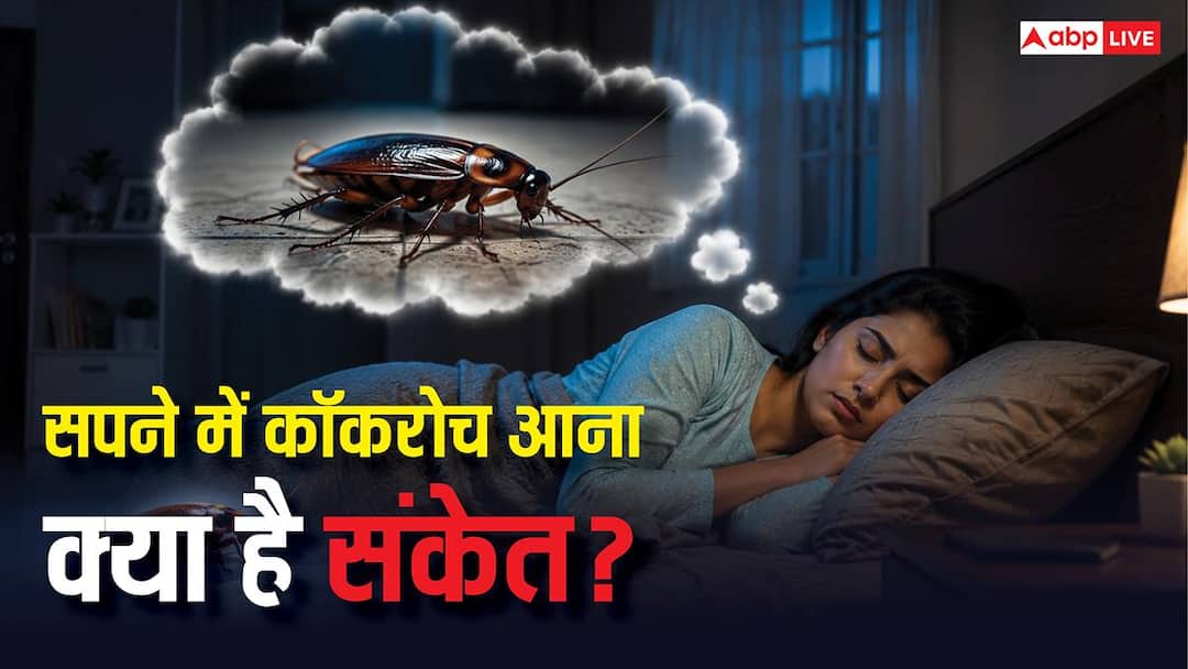 If you see a cockroach in your dream, be alert, the signs are dangerous.