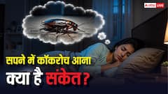 Dream Interpretation: सपने में कॉकरोच दिखे तो हो जाएं सतर्क, खतरनाक होते हैं संकेत