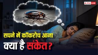 Dream Interpretation: सपने में कॉकरोच दिखे तो हो जाएं सतर्क, खतरनाक होते हैं संकेत