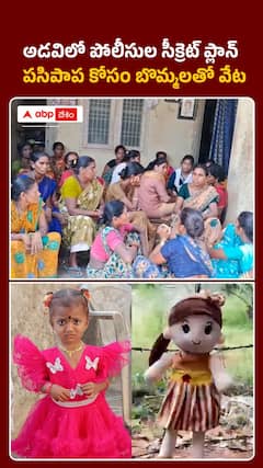 పసి పాప కోసం బొమ్మలతో వేట