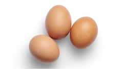 Vitamin B12 Foods : విటమిన్ B12 తగ్గిందా? లోపం ఉంటే మీ డైట్లో ఈ 7 ఫుడ్స్ చేర్చుకోండి