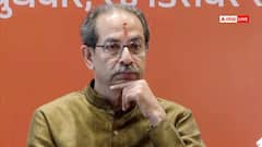 उद्धव ठाकरे का साथ छोड़ने वाले 6 में से दो सांसद आएंगे वापस? इस दावे से सियासी हलचल, बताई लौटने की वजह