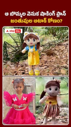 ఆ బొమ్మల వెనుక షాకింగ్‌ ప్లాన్‌