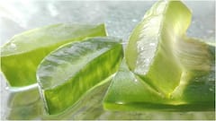 Aloe Vera For Face : కలబంద(అలోవెరా)ను ముఖానికి అప్లై చేస్తే కలిగే 7 అద్భుత లాభాలు.. ఇలా వాడితే చాలా మంచిది
