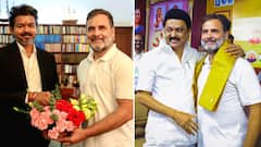'तेव्हा विचारांचा भाऊ ते आता फक्त...' अवघ्या काही दिवसांत सर्व काही बदललं! स्टॅलिन यांनी राहुल गांधींना दिलेल्या शुभेच्छांनी भूवया उंचावल्या, मात्र त्याचवेळी सीएम थलापती विजय यांनी टायमिंग साधली