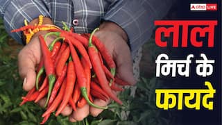 Red Chilli Benefits: क्या डायबिटिक नर्व पेन में आराम दिलाती है लाल मिर्च, जानें क्या कहते हैं एक्सपर्ट?