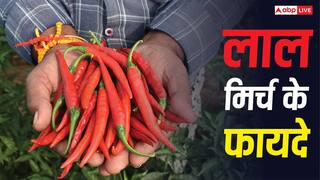 Red Chilli Benefits: क्या डायबिटिक नर्व पेन में आराम दिलाती है लाल मिर्च, जानें क्या कहते हैं एक्सपर्ट?