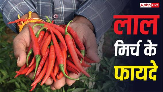 Red Chilli Benefits: क्या डायबिटिक नर्व पेन में आराम दिलाती है लाल मिर्च, जानें क्या कहते हैं एक्सपर्ट? Red Chilli Benefits: क्या डायबिटिक नर्व पेन में आराम दिलाती है लाल मिर्च, जानें क्या कहते हैं एक्सपर्ट?