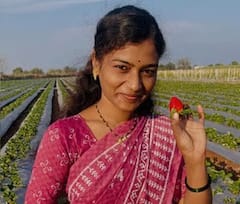 Reel Star Rohini Paradhye Ends Life, Mangalwedha: रिलस्टार रोहिणी पाराध्येनं नवऱ्यामुळे आयुष्य संपवलं? पोलिसांकडून गुन्हा दाखल, नेमकं काय आलं समोर?