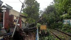 Weather Update: ১০ জেলায় জারি হলুদ সতর্কতা, কাল থেকে বাড়বে দুর্যোগ! বড় আপডেট দিল আবহাওয়া দফতর