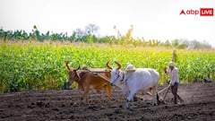 आज जारी होगी किसान सम्मान निधि की 23वीं किस्त, ऐसे चेक करें अपना स्टेटस