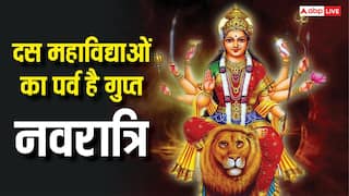 Gupt Navratri 2026: दस महाविद्याओं का पर्व है गुप्त नवरात्रि, इस तरह पूजा करने से बनेंगे सारे काम
