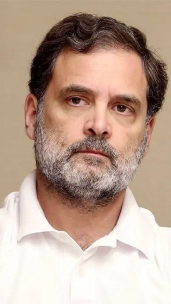 राहुल गांधी के पास किन-किन कंपनियों के शेयर हैं?