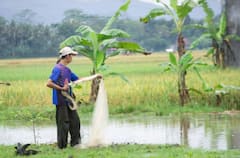 Rice-Fish Farming: ਝੋਨੇ ਦੀ ਫਸਲ ਨਾਲ ਕਰ ਲਓ ਆਹ ਕੰਮ, ਹੋਵੇਗੀ ਦੁੱਗਣੀ ਕਮਾਈ